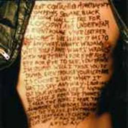 Kid Congo And The Pink Monkey Birds : Philosophy and Underwear